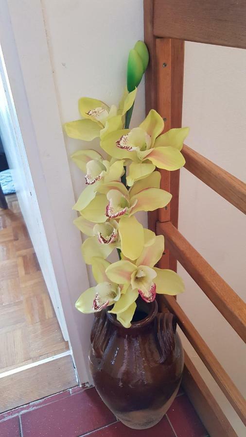 Apartman-maja-krk Krk Town